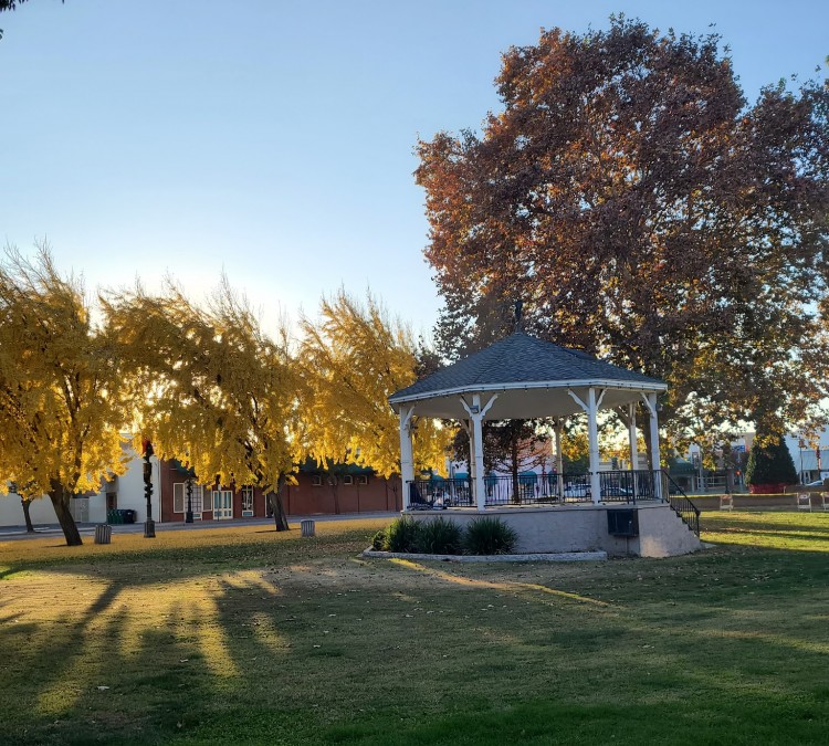 Selma Park (Selma,&nbspCA)